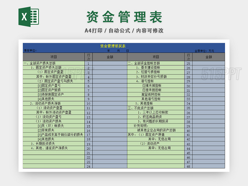 公司资金管理情况统计表