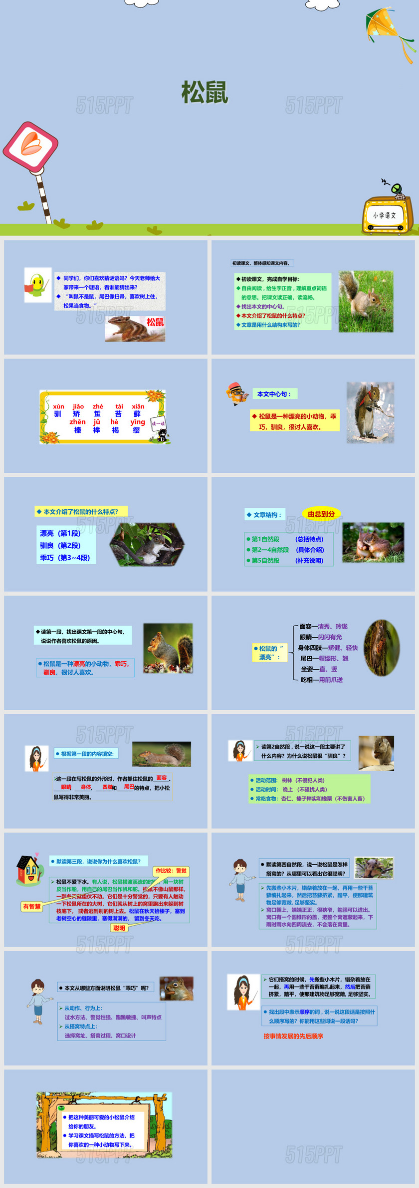 人教五上-10松鼠优质课课件全国青年教师素养大赛一等奖 (1)
