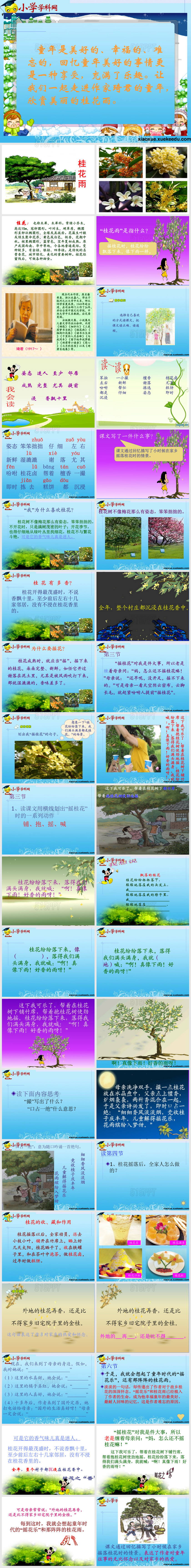 四年级上语文课件-桂花雨-苏教版【小学学科网】