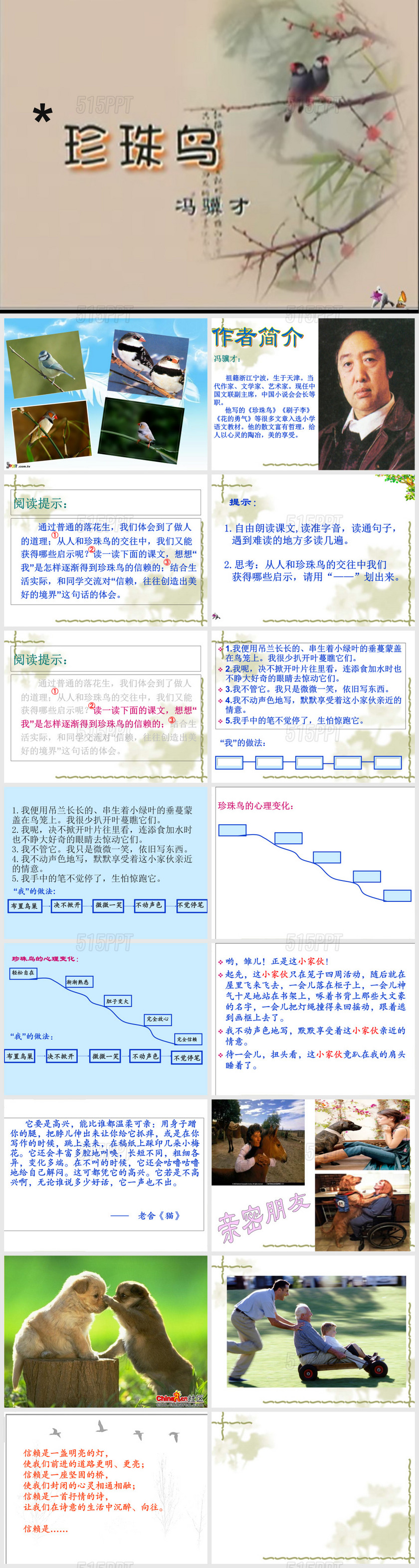 《珍珠鸟》-公开课课件---和教案配套