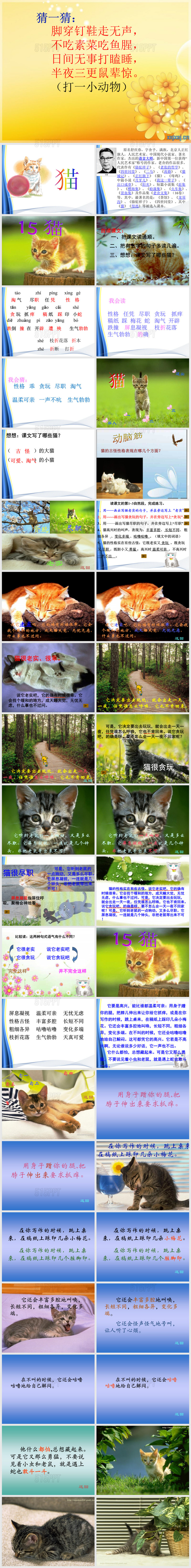 15《猫》ppt课件