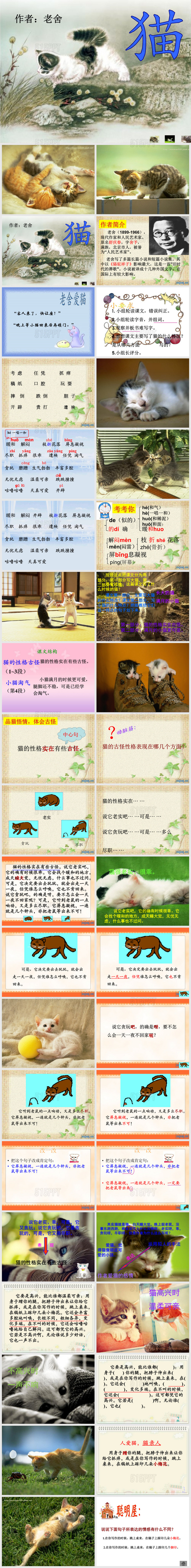 《猫》老舍(公开课课件) (1)