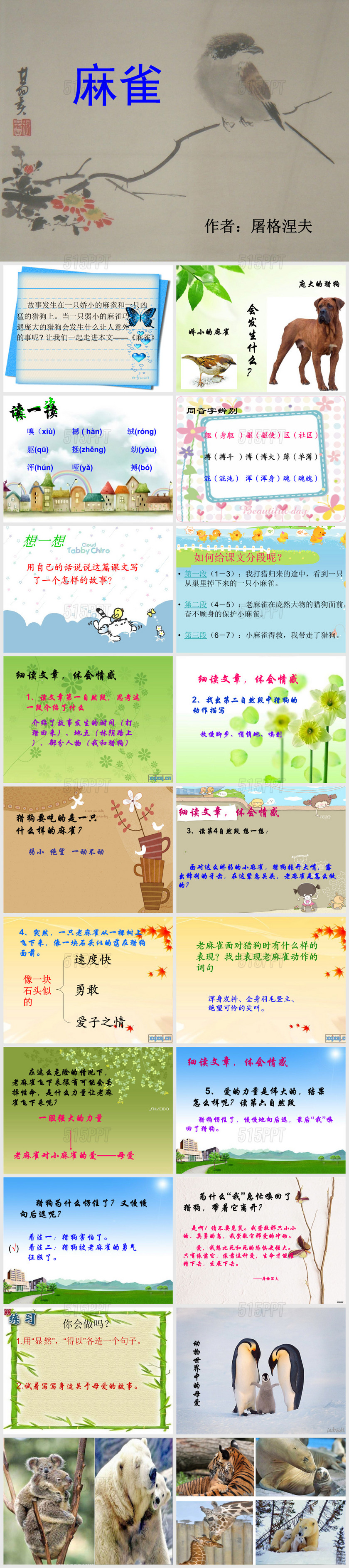 《麻雀》PPT