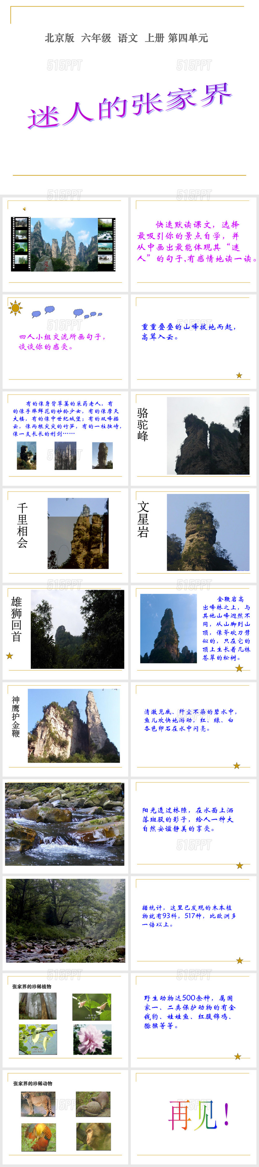 (北京版)六年级语文上册课件-迷人的张家界-2-PPT课件
