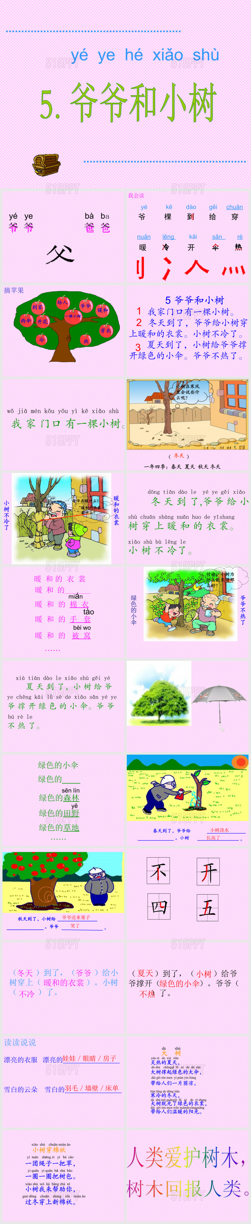 5-爷爷和小树(课件1)