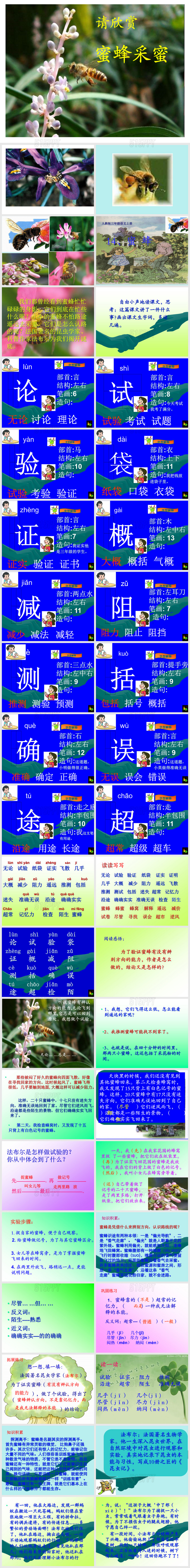 三年级语文上册14《蜜蜂》PPT课件