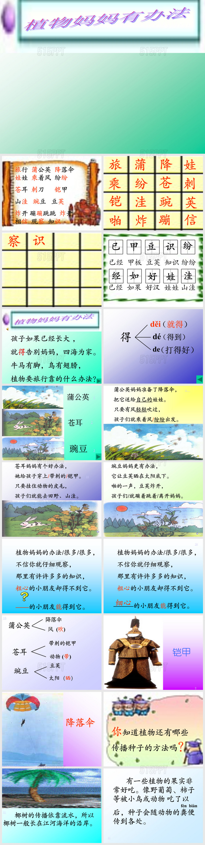 人教版小学二年级语文上册《植物妈妈有办法》课件