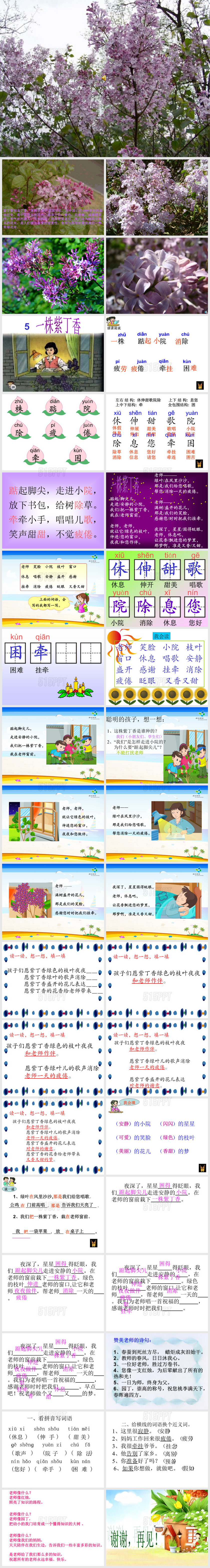 小学二年级《一株紫丁香》课件