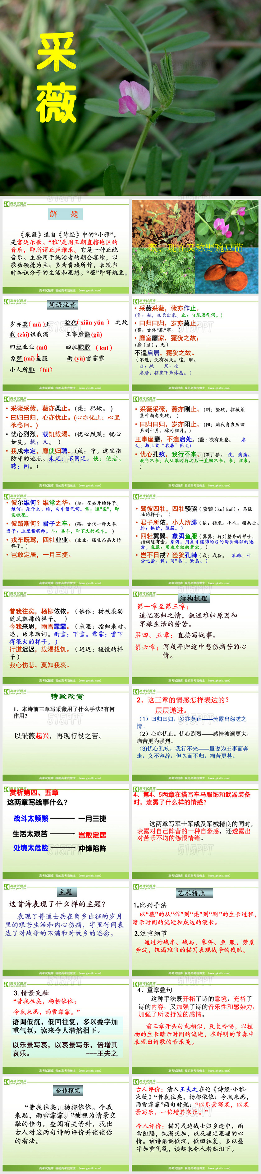 最新《采薇》优秀课件