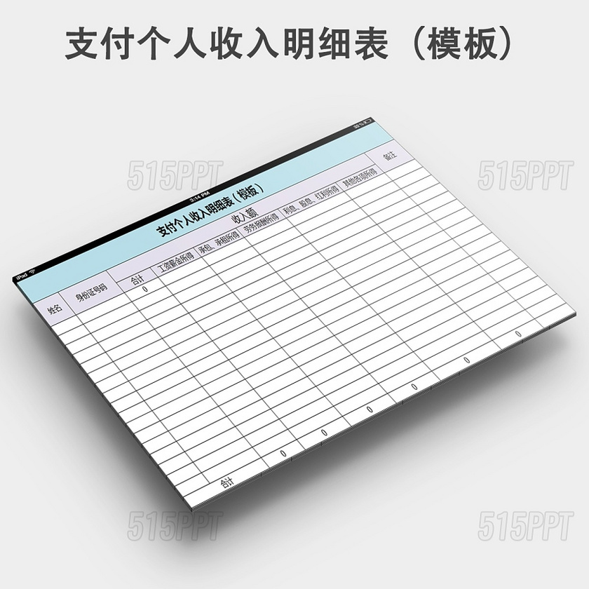 支付个人收入明细表模板