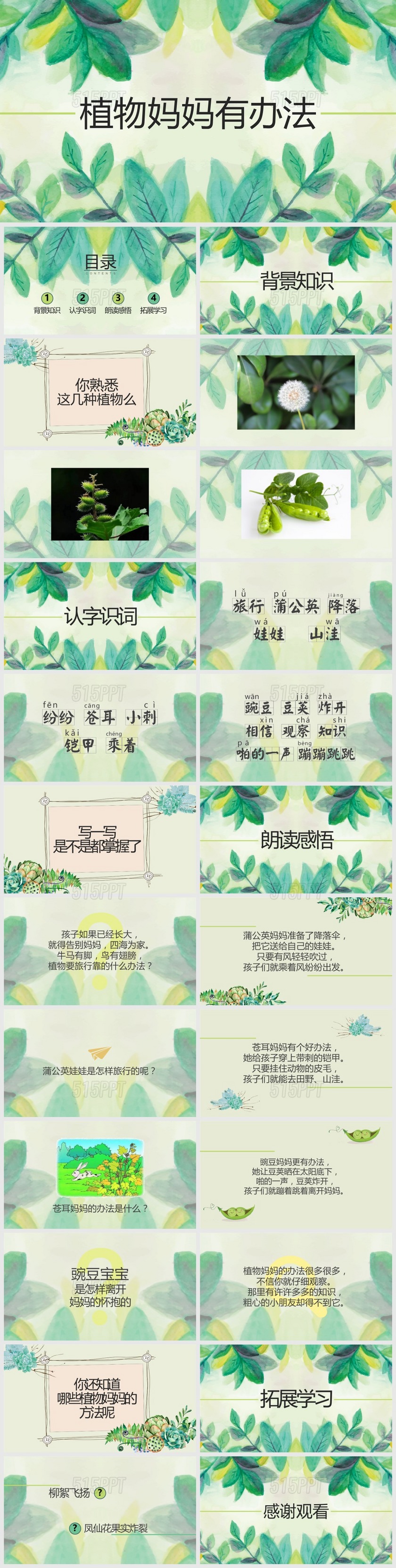 植物妈妈有办法课件PPT模版