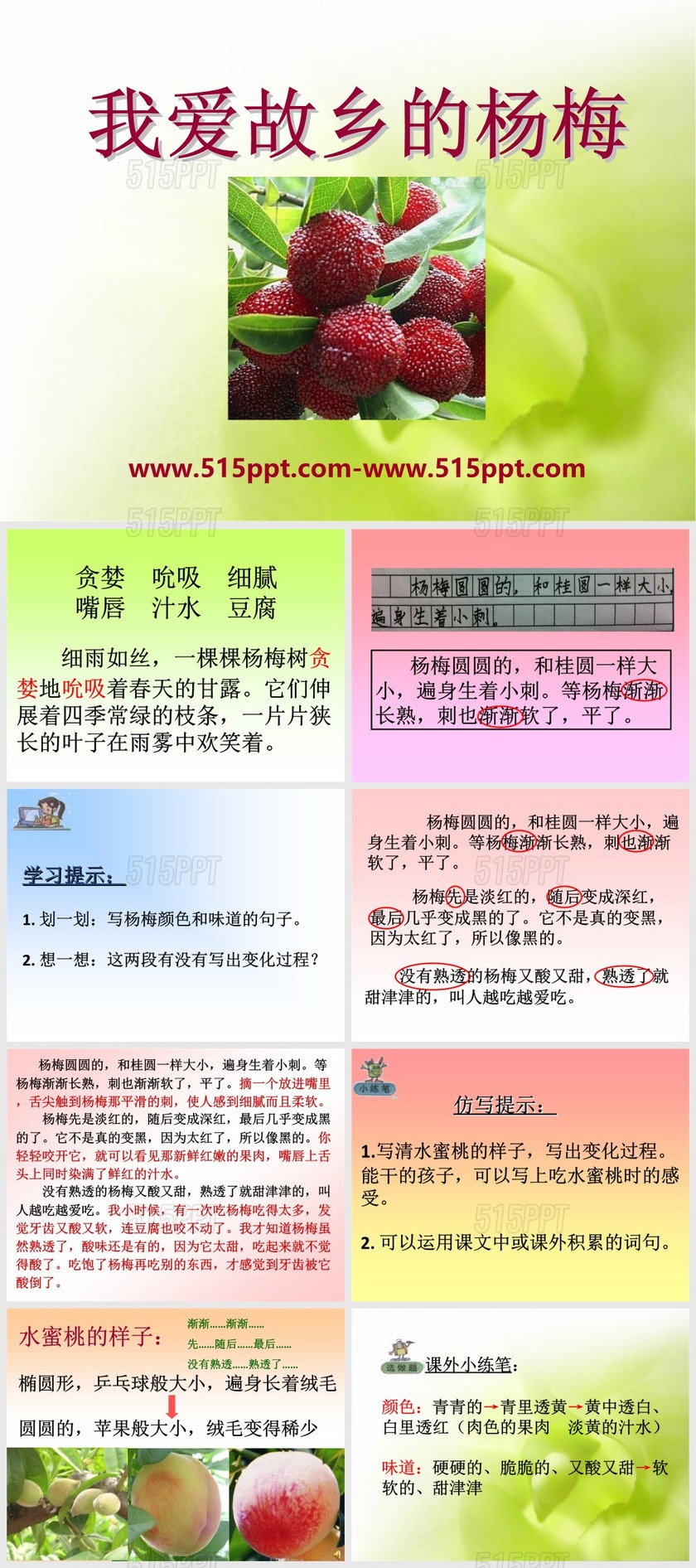 2015语文A版语文三上《我爱故乡的杨梅》ppt模板