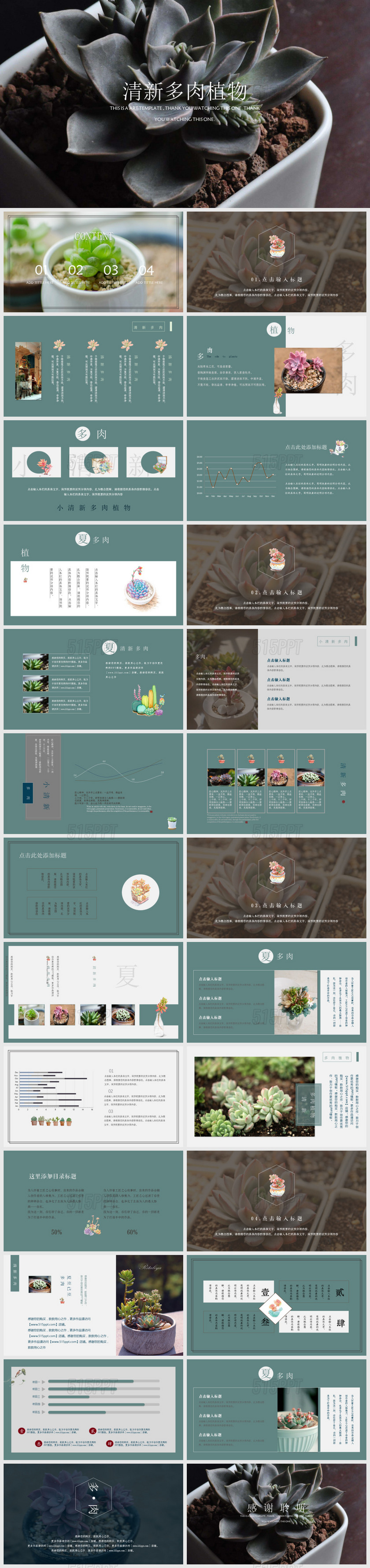 小清新多肉植物通用PPT模版