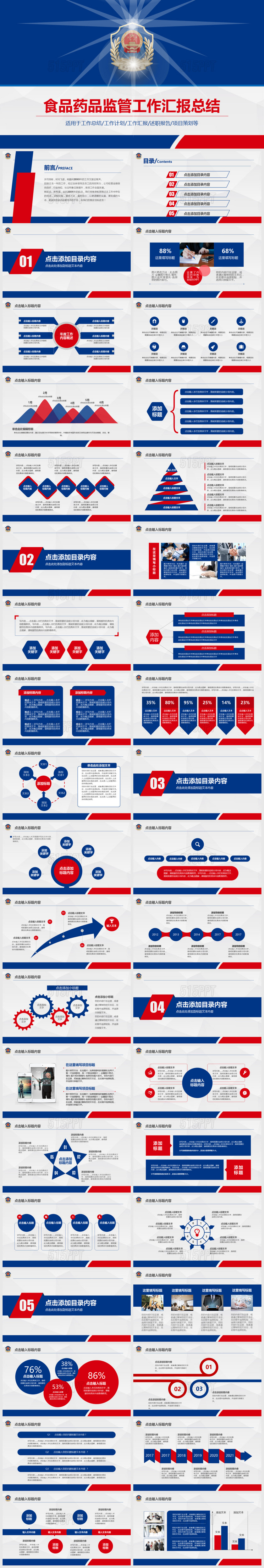 食品药品监管工作汇报总结工作计划述职报告项目策划PPT模板